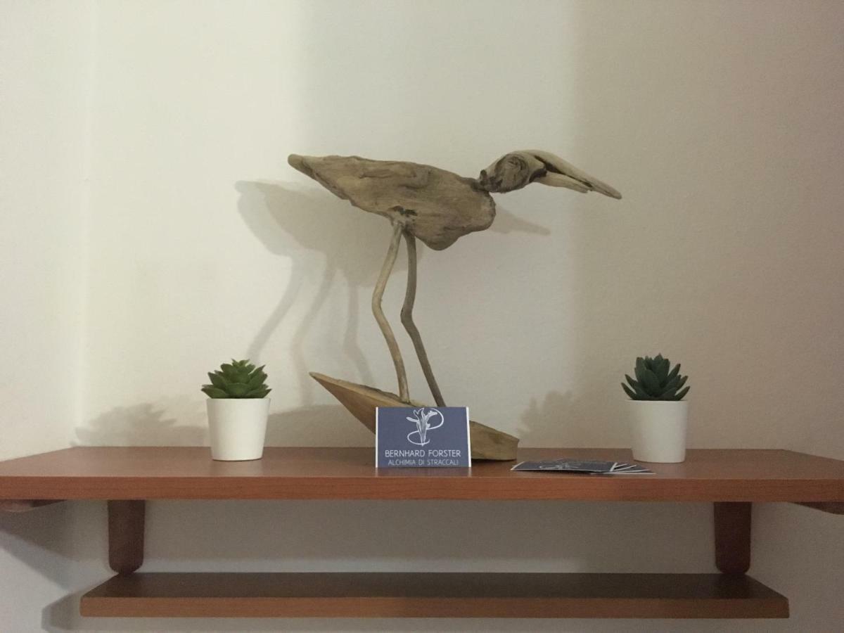 Il Mio Piccolo Angolo Di Mare Apartment Viareggio Bagian luar foto